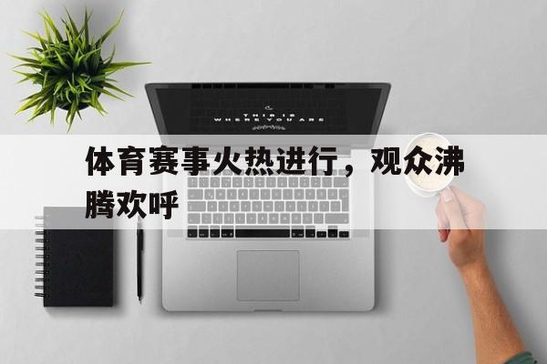 体育赛事火热进行，观众沸腾欢呼